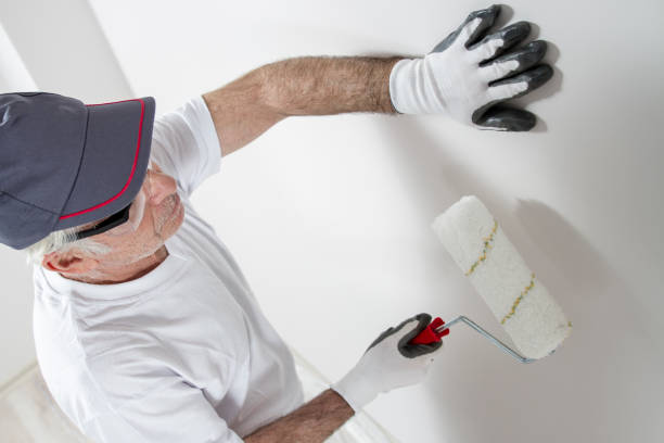 Best Environmental Consulting for Mold Prevention  in Fruit Hill, OH