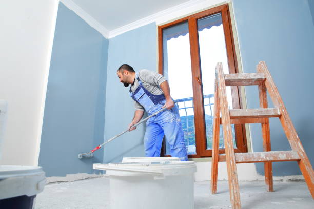 Best Mold Damage Restoration  in Fruit Hill, OH