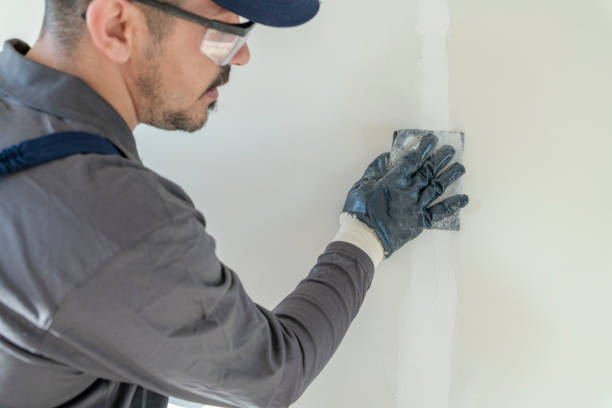 Best Water Damage & Mold Remediation  in Fruit Hill, OH