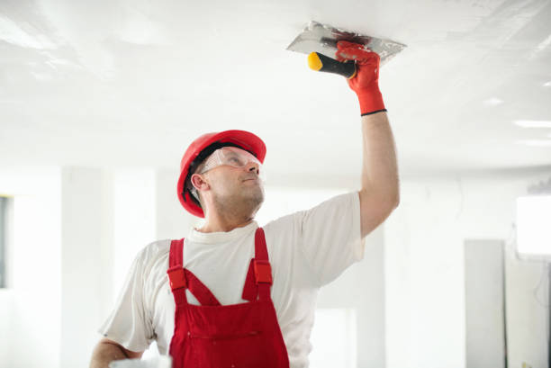 Best Attic Mold Removal  in Fruit Hill, OH