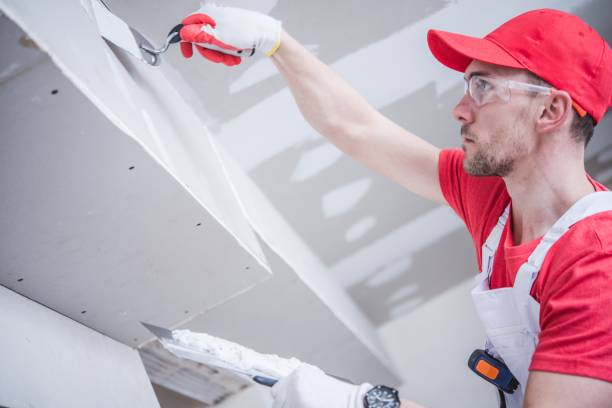 Trusted Fruit Hill, OH Mold Removal Experts